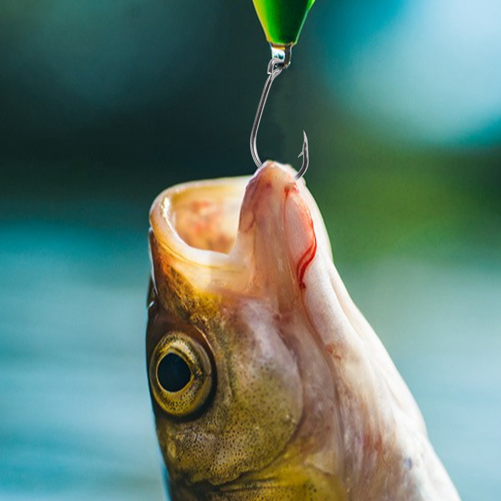 Nueva llegada 500 piezas/set d - Fishing Hook Box reseña y precio